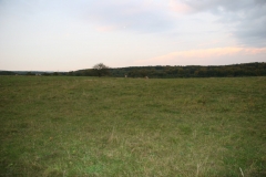 IMG-2219