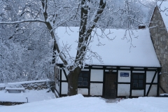 20100107-Winterthing-4572